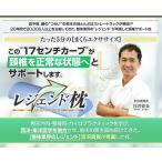 枕 ストレートネック 肩こり 高反発 快眠枕 快眠 頭痛 肩こり解消 頸椎サポート 首 肩 頸椎 レジェンド枕 人気 ランキング 正規品