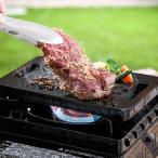 鉄板 ソロキャン セレブ キャンプ 