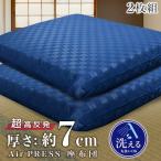 【2個】 日本製 高反発 約55×59cm 座布団 約43×63cm 長座布団 かため 固め 硬め 固反発 体圧分散 高反発 極厚 高め 厚さ 約7cm 選べる カラー