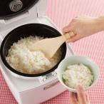 スタンドしゃもじ ねこの手 ※メーカー在庫限り ×10セット
