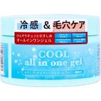 クールオールインワンゲル 280g