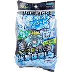 アイスノン ICE KING(アイスキング) 極冷えボディシート 大判タイプ ミントの香り 30枚入