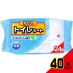 ... туалет сиденье аккуратный мята. аромат 24 листов входит × 40 пункт 