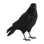 貯金箱 ペットバンク CARRION CROW 57801