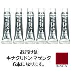 【6本×5セット】 ターナー色彩 U35キナクリドンマゼンタ11ml TURNER108853X5