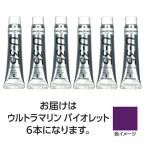 【6本×5セット】 ターナー色彩 U35 ウルトラマリンバイオレット11ml TURNER108854X5