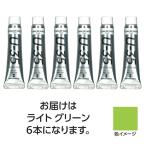 【6本×5セット】 ターナー色彩 U35ライトグリーン11ml TURNER108857X5