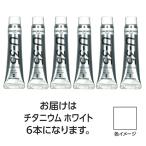 【6本×5セット】 ターナー色彩 U35 チタニウムホワイト11ml TURNER108862X5