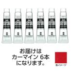 【6本×5セット】 ターナー色彩 ポスターカラー 11ml 17 カーマイン TURNER108789X5
