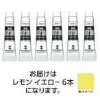 【6本×5セット】 ターナー色彩 ポスターカラー 11ml 2 レモンイエロー TURNER108792X5