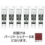 【6本×5セット】 ターナー色彩 アクリルガッシュ 11ml 34バーントシェナー TURNER108813X5