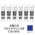 【6本×5セット】 ターナー色彩 アクリルガッシュ 11ml 53ウルトラマリン TURNER108822X5