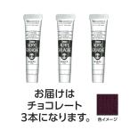【3本×5セット】 ターナー色彩 アクリルガッシュ 20ml 38チョコレート TURNER108444X5