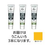 【3本×5セット】 ターナー色彩 アクリルガッシュ ジャパネスクカラーシリーズ 20ml 312うこんいろ TURNER108494X5