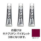 【3本×3セット】 ターナー色彩 U35 キナクリドンバイオレット20ml TURNER108660X3