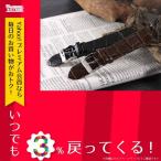 腕時計 本革 カーフ型押しクロコ メンズ 腕時計 替えベルト PLCRSY30-22-BR ブラウン ブラウン カーフ カラー：ブラウン