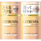 シトラスパエアリー&モイストトライアル