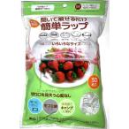 簡単ラップLサイズ30枚