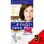 Sプロ無香料ヘアカラー早染めC(白髪用)4 × 3点