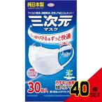 三次元マスクふつうMサイズホワイト30枚 × 40点