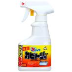 カビとりスプレー泡300ML