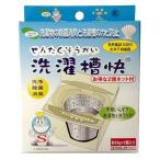 洗濯槽快 30G×2個入り