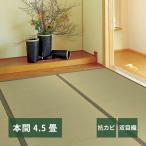ショッピングい草 い草カーペット 柳川（やながわ） 本間 4.5帖（286×286）