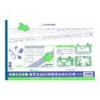 給与 1/複写式給料明細書兼給料台帳