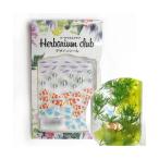 ハーバリウムクラブ ハーバリウムシール 熱帯魚 (両面印刷) HR-NTG-101