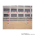 ダンノ(DANNO) ハンドボール 20/90(ホワイト) D6601