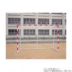 DANNO ダンノ 亀甲型ハンドゴールネット 検定品 D6604