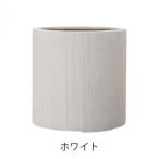 ショッピング鉢 グリーンポット 植木鉢 エンバス シリンダー ホワイト 30cm EB-EC3030WH