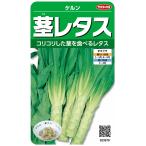 サカタのタネ 実咲野菜3579 茎レタス ケルン 00923579