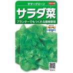 サカタのタネ 実咲野菜3670 サラダ菜 サマーグリーン 00923670