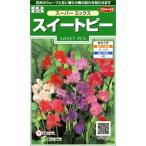 サカタのタネ 実咲花6460 スイートピー スーパーミックス 00906460