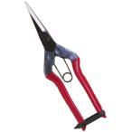  близко правильный (CHIKAMASA)chikamasa. порез .T-550