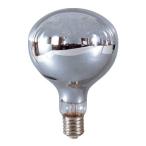 日動 レフ球/白熱球(安全投光器用)交換球 (110V) レフ球500W NRF-500