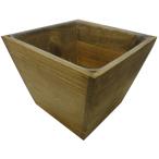 大橋新治商店 Wood Planter ウッドプランター D5号 63-035