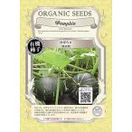  greenfield Project [ иметь машина семена * фиксация вид ] тыква ( чёрная кожа каштан ) A070