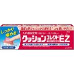 クッションコレクトEZ 30g
