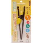 イシダ 矯正箸 ちゃんと箸 こども用 16.5cm 右利き