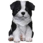  Восток камень . произведение искусства собака орнамент / окантовка * колли B 11×13.5×16cm 14079