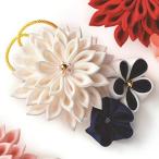  Takagi волокно (Takagi Seni) Panamipa Nami крепдешиновое мастерство комплект [ натуральный шелк кнопка, ручка настройки умение Kirameki ... брошь белый LH-453]