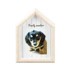 LADONNA Rodan na living фоторамка PET22-S2-B 088171