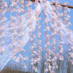 造花 桜の花 造花の藤 2本入 135輪/本 枯れない花 人工観葉植物 シルクフラワー 手作り花輪 花園装飾 インテリア飾り 壁掛け造花 吊るす花 部