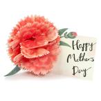  поздравление жизнь День матери карта цветок pop up гвоздика красный LY-25