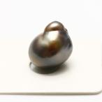 タヒチ黒蝶真珠パールルースケシ16...