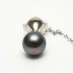 タヒチ黒蝶真珠パールタイタック11...