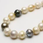 南洋白蝶/タヒチ黒蝶真珠パールセミ...