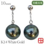 パールピアス真珠パール真珠ピアスブ...